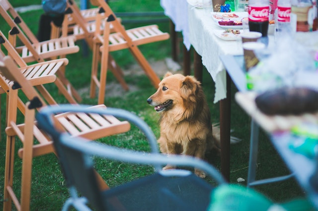 How to host a successful fundraising event at home